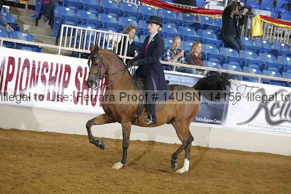 Proof 14usn_14156