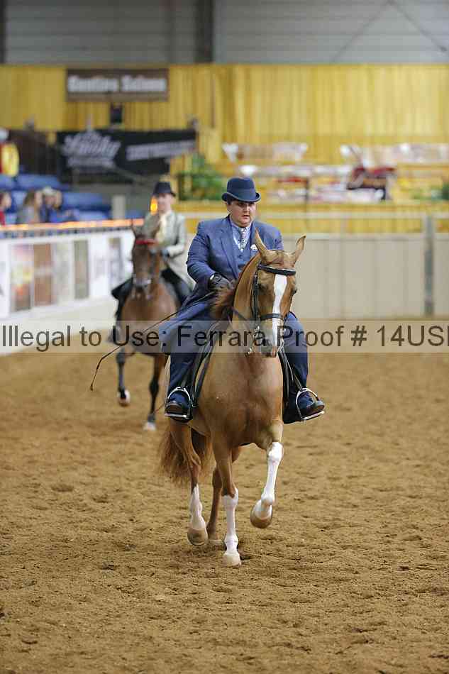 Proof 14usn_14160