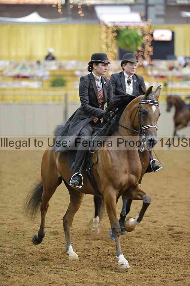 Proof 14usn_14167