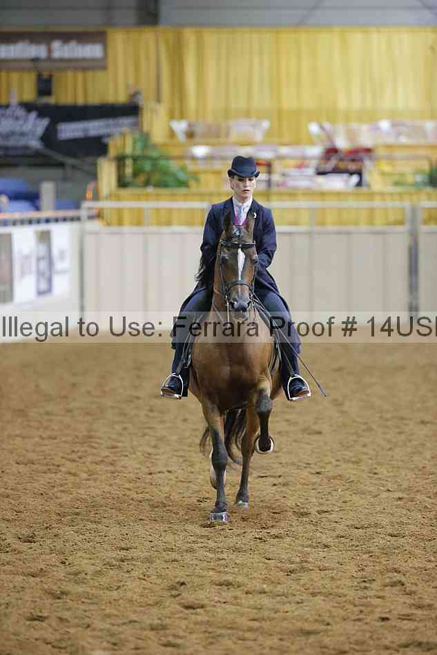 Proof 14usn_14169