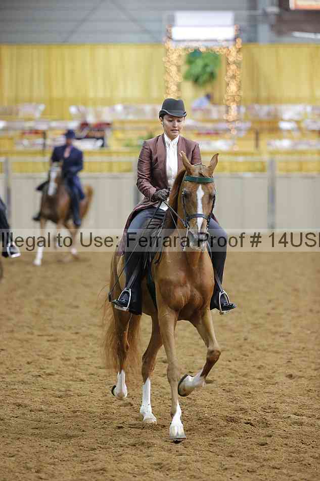 Proof 14usn_14174