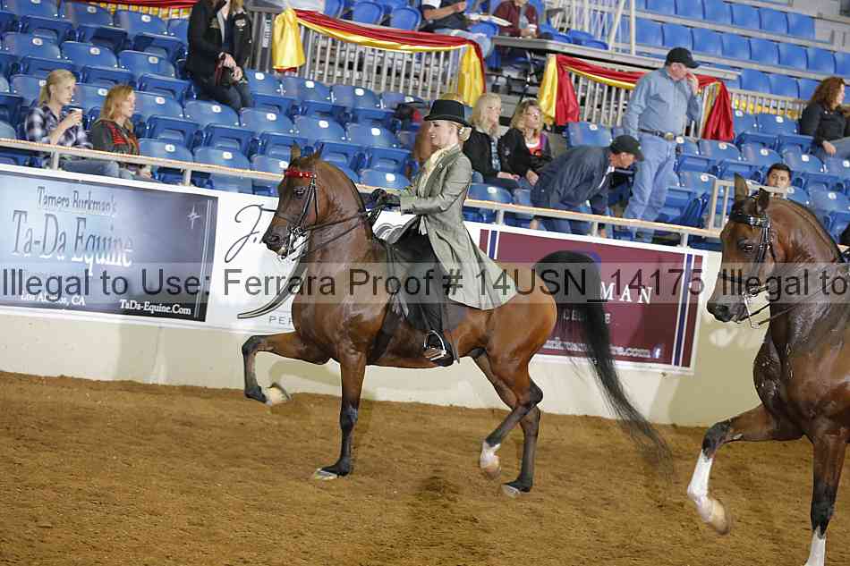 Proof 14usn_14175