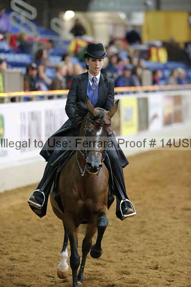 Proof 14usn_14177