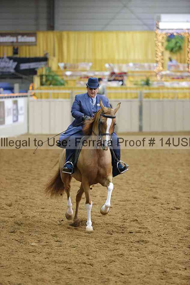 Proof 14usn_14183