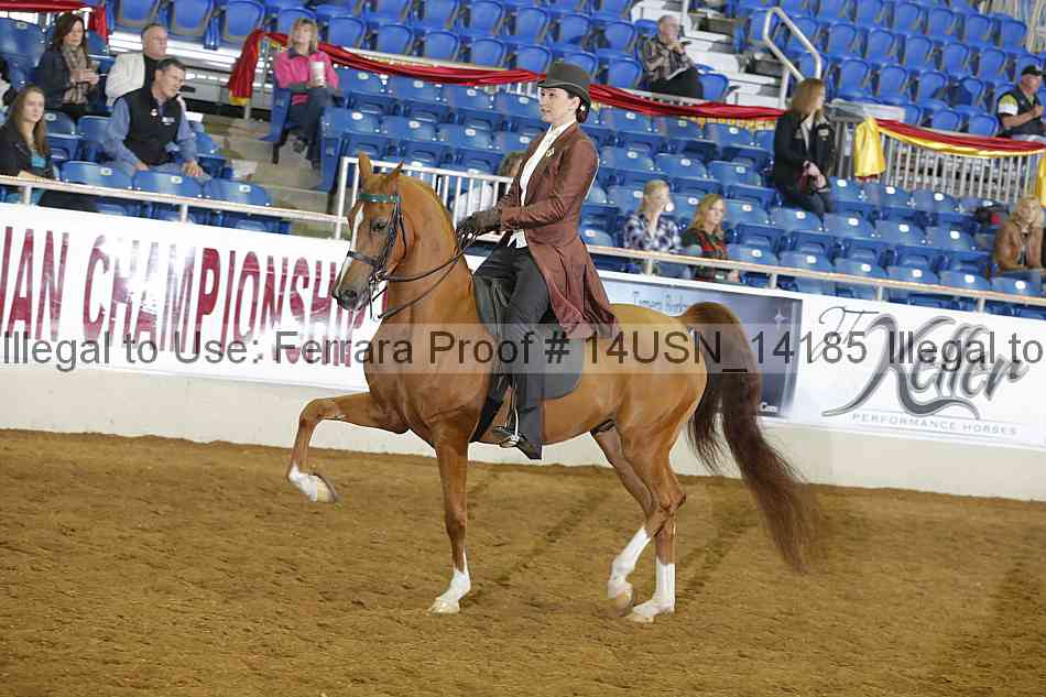 Proof 14usn_14185