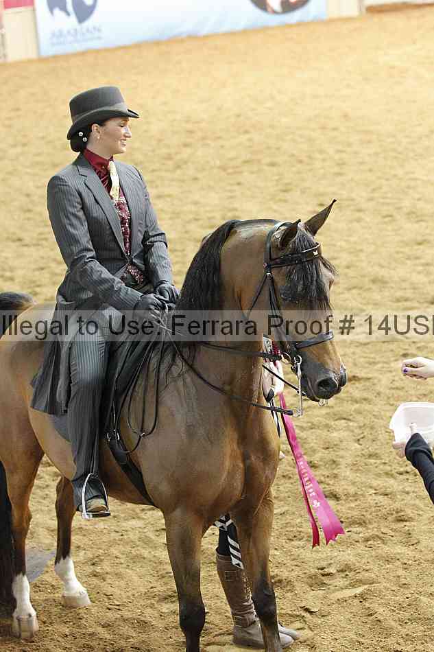 Proof 14usn_14187
