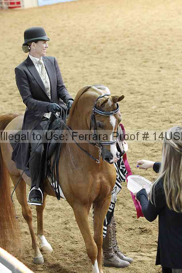 Proof 14usn_14191
