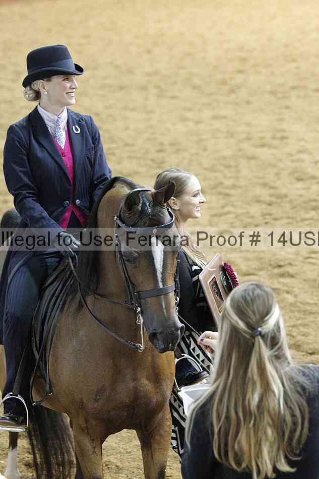 Proof 14usn_14195
