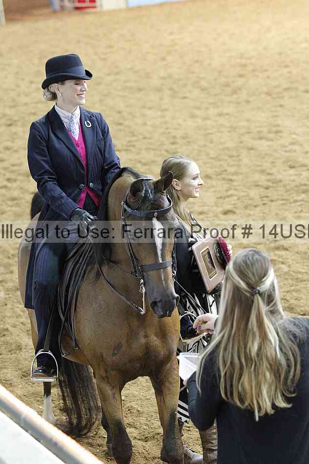 Proof 14usn_14196