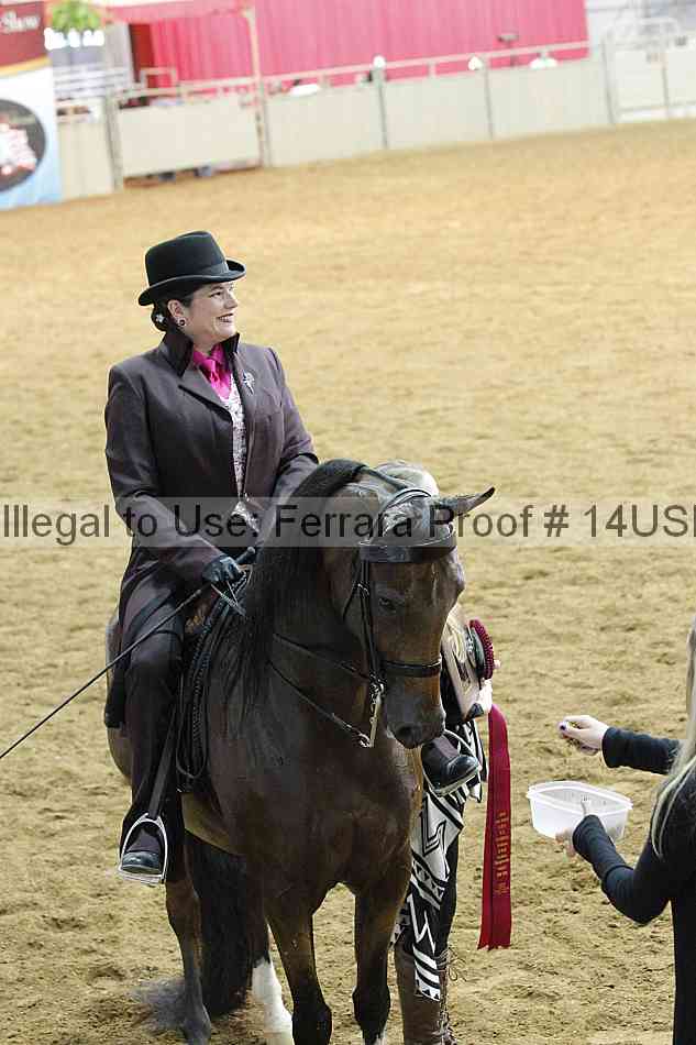 Proof 14usn_14202