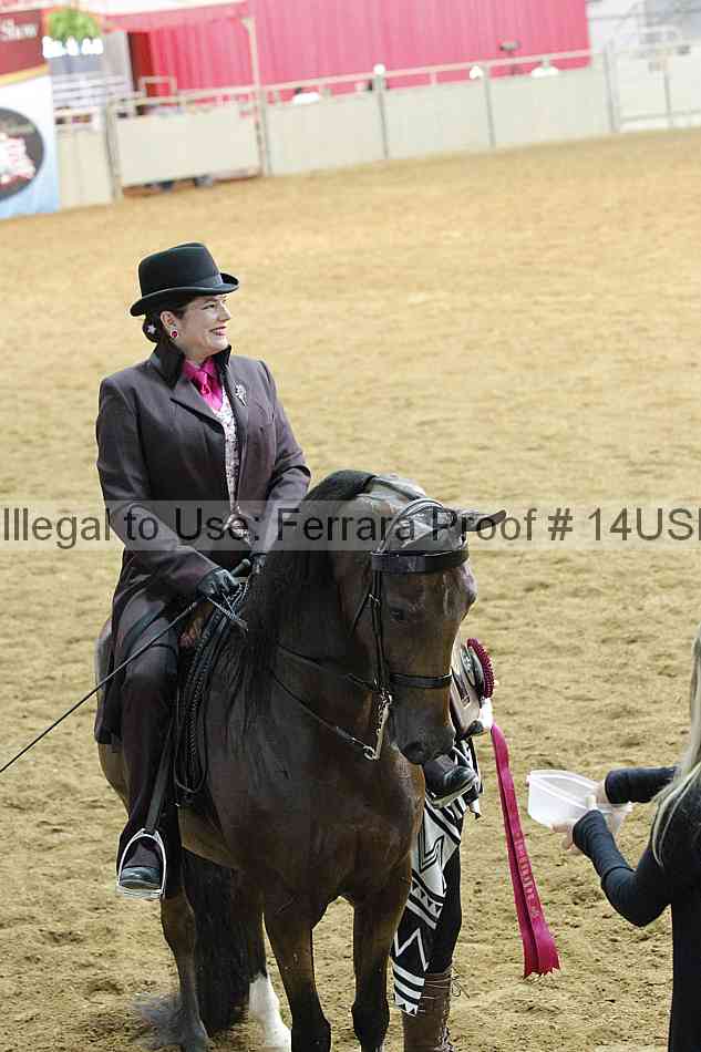 Proof 14usn_14203