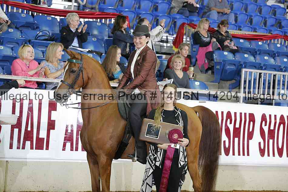 Proof 14usn_14204