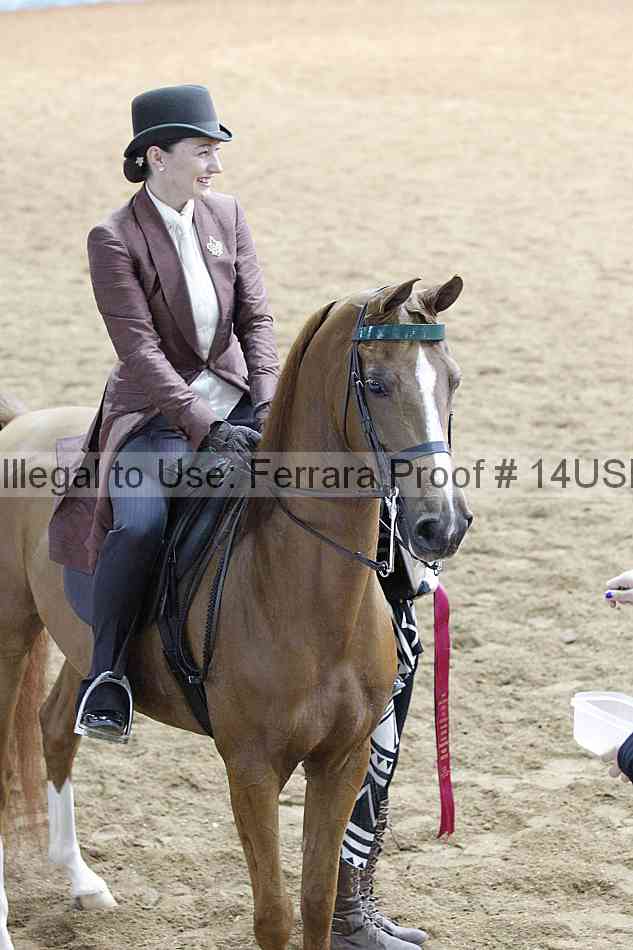Proof 14usn_14207