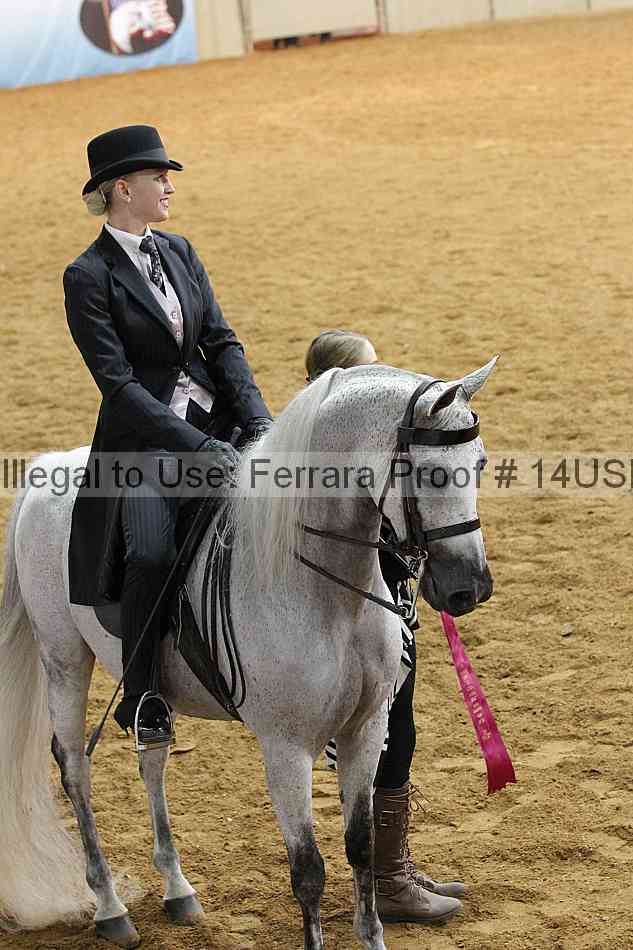 Proof 14usn_14210