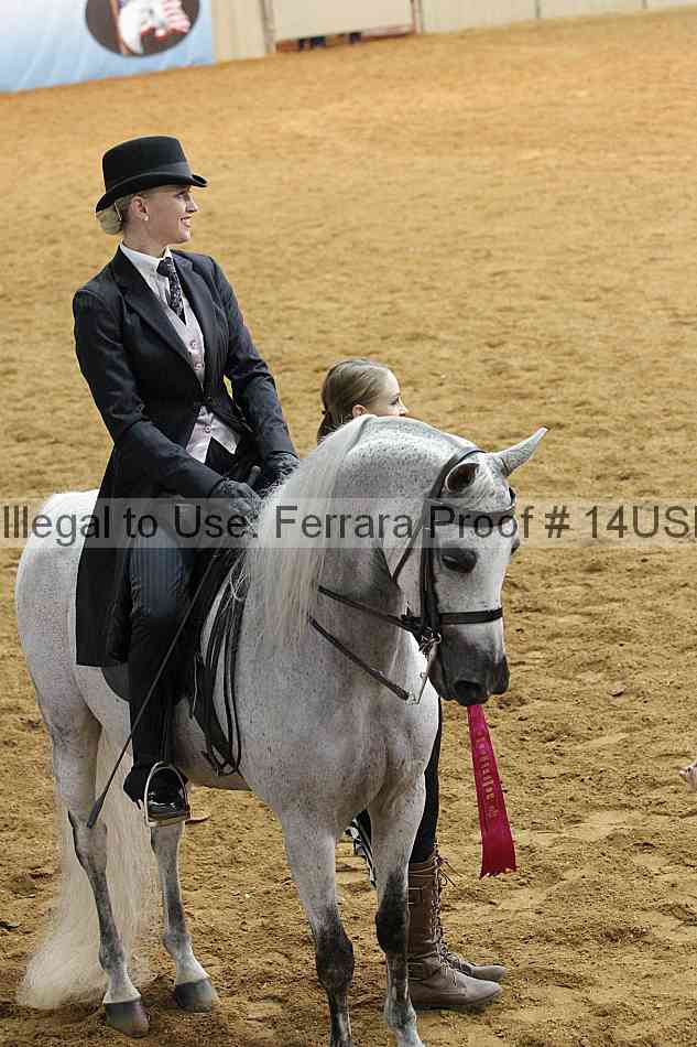 Proof 14usn_14211