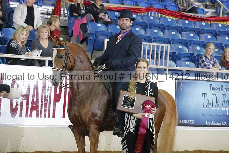 Proof 14usn_14212