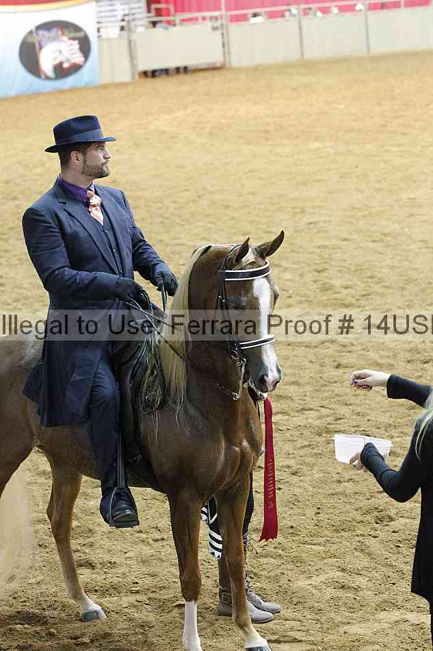 Proof 14usn_14214
