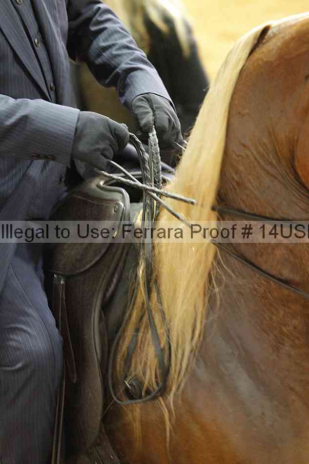 Proof 14usn_14215