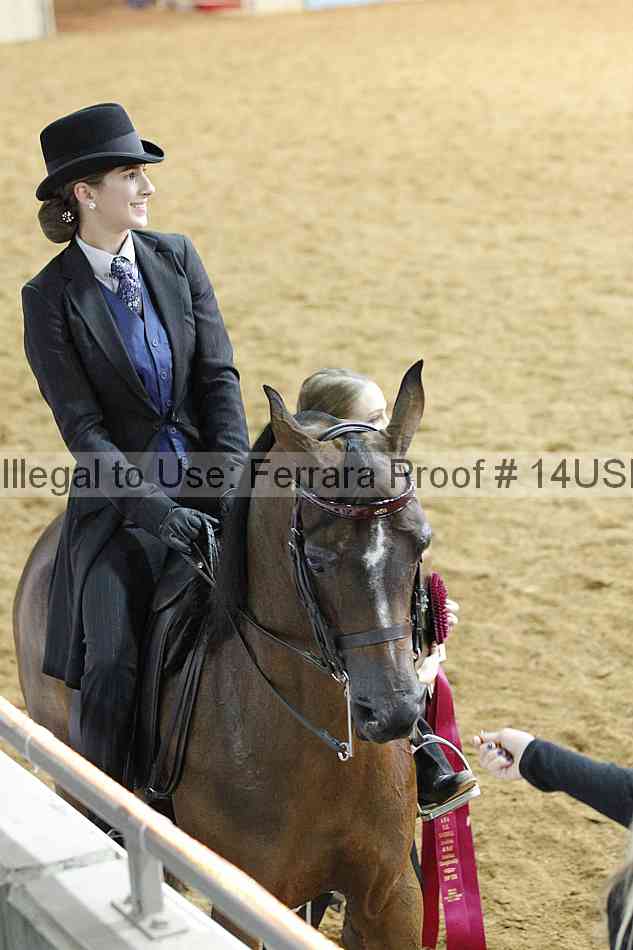 Proof 14usn_14217