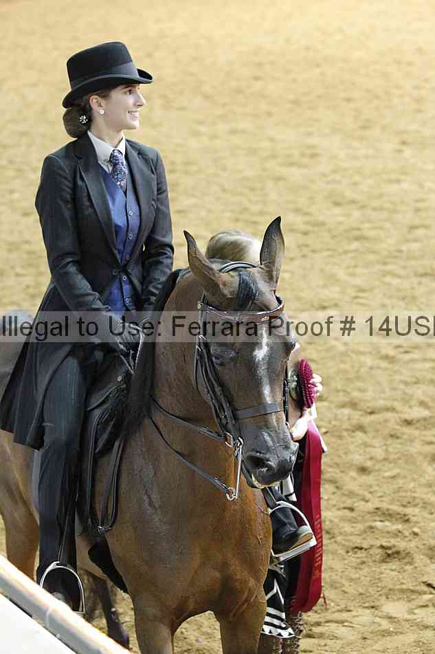 Proof 14usn_14218