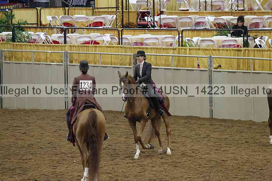Proof 14usn_14223