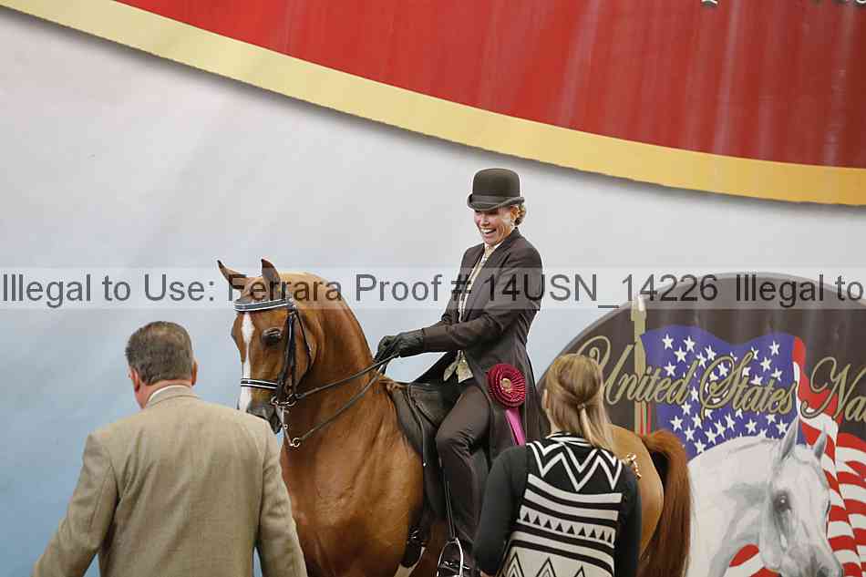 Proof 14usn_14226