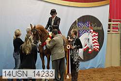 14usn_14233 proof