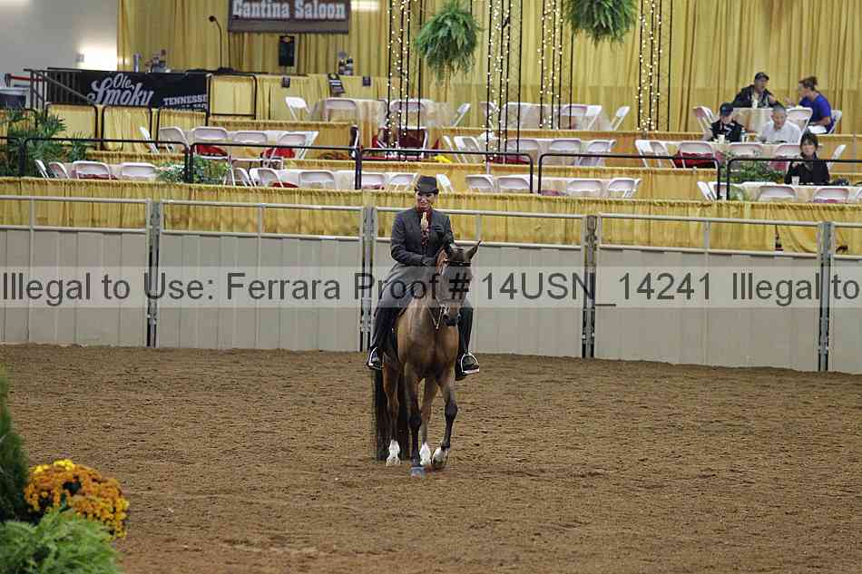Proof 14usn_14241