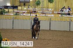 14usn_14241 proof