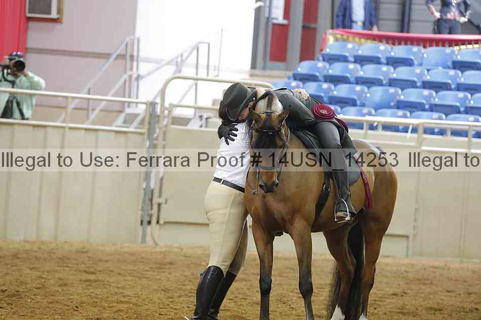 Proof 14usn_14253