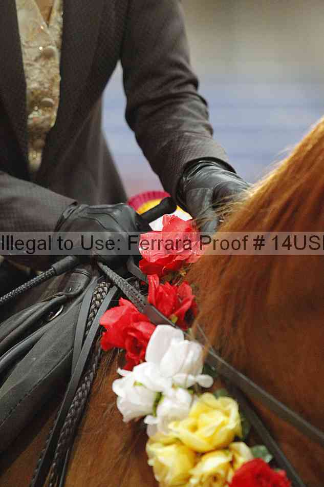 Proof 14usn_14281