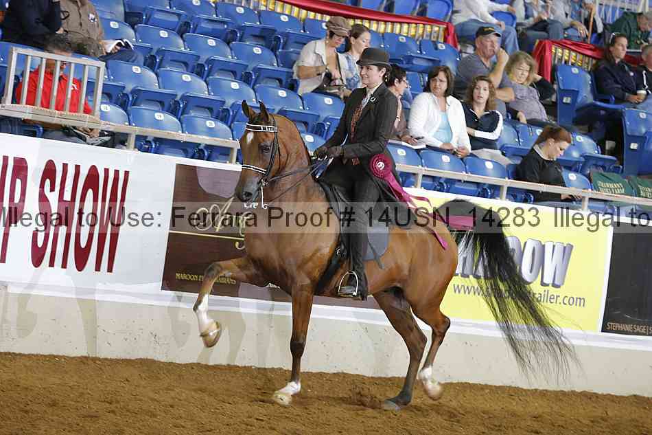 Proof 14usn_14283