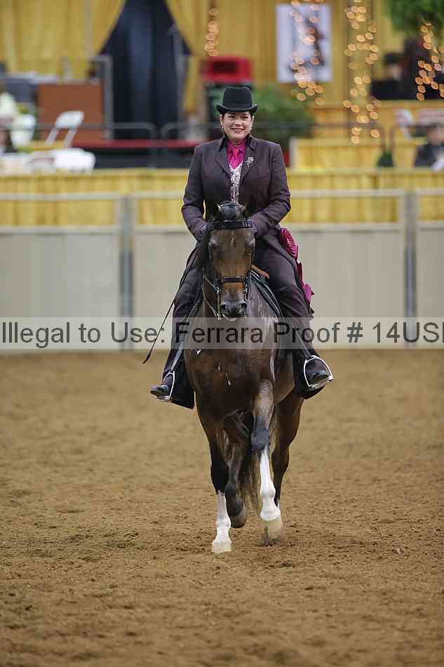 Proof 14usn_14286