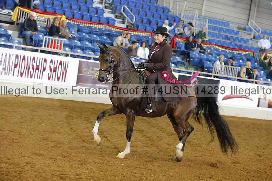 Proof 14usn_14289
