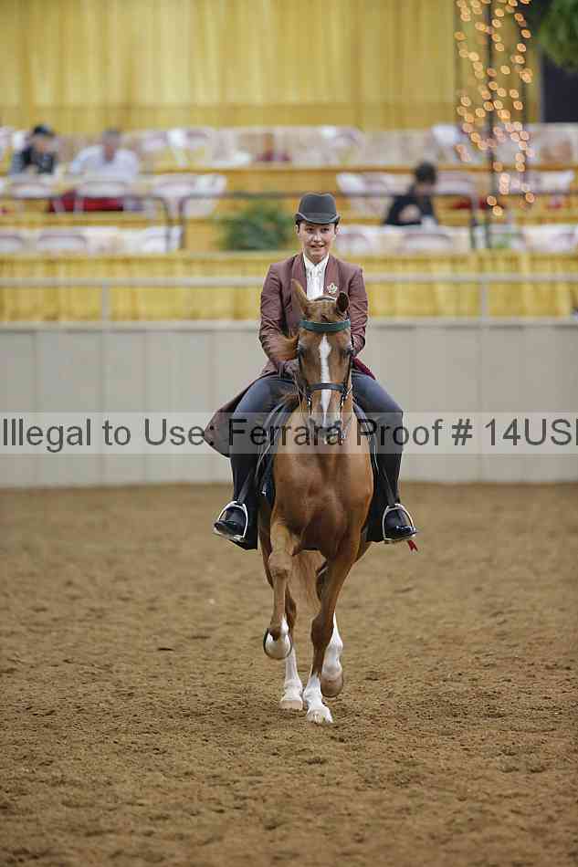 Proof 14usn_14292