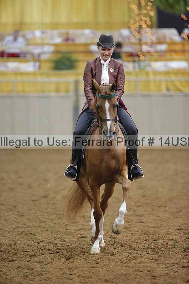 Proof 14usn_14293