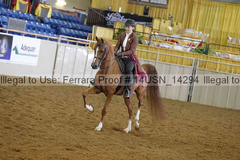 Proof 14usn_14294