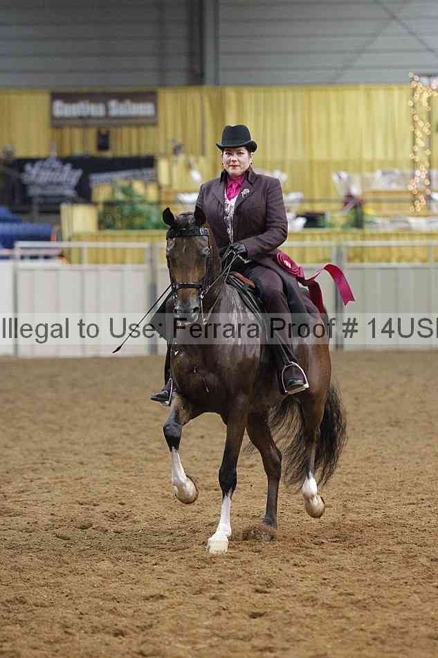 Proof 14usn_14295
