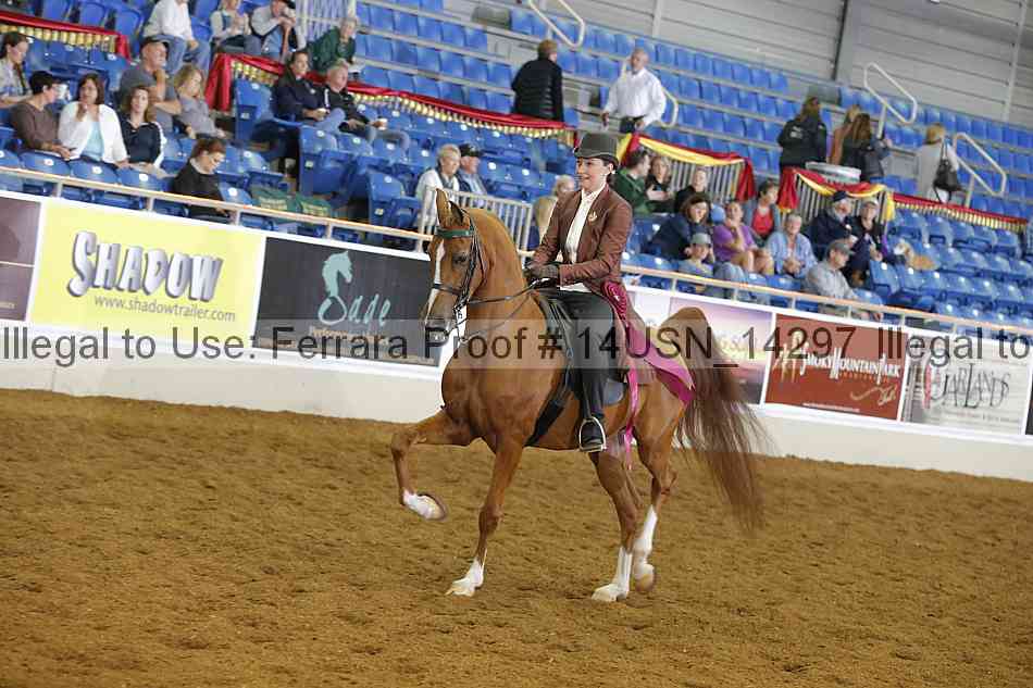 Proof 14usn_14297