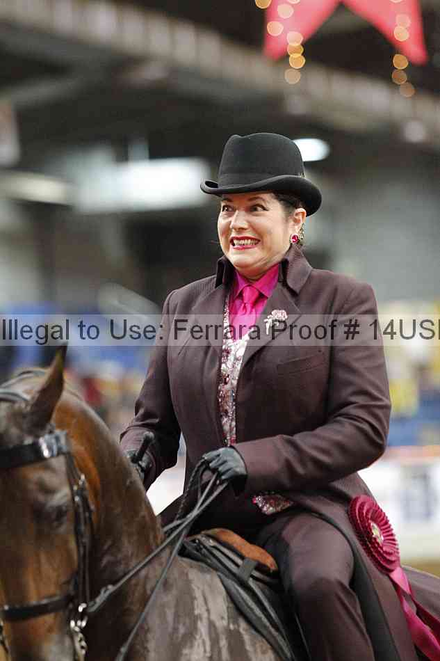 Proof 14usn_14301