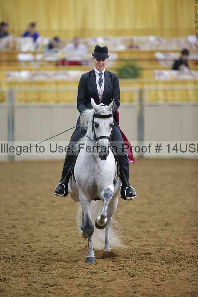Proof 14usn_14302