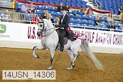14usn_14306 proof