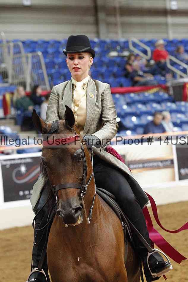 Proof 14usn_14340