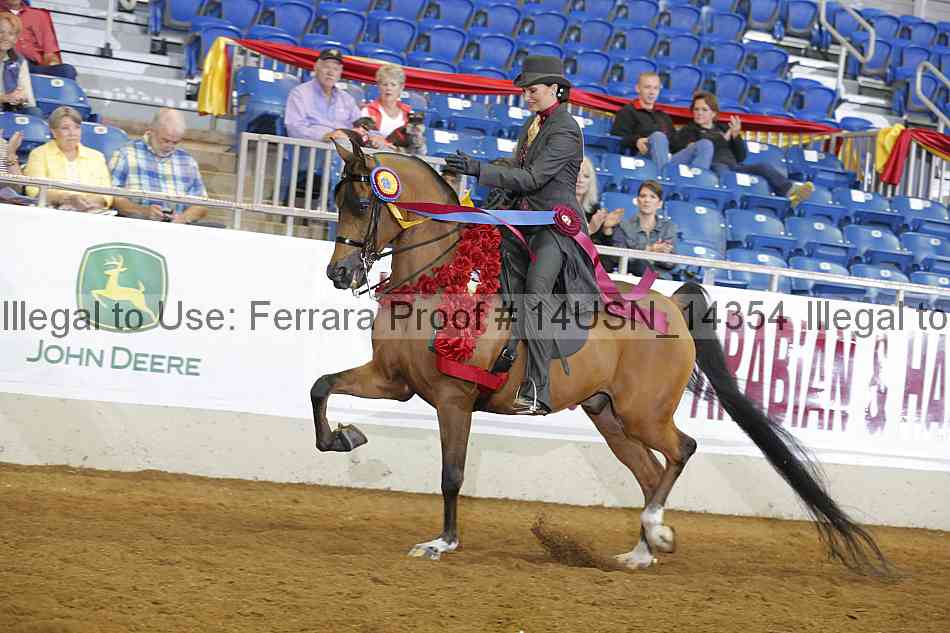 Proof 14usn_14354
