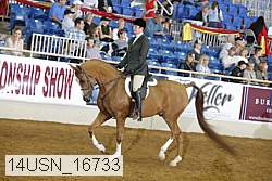 14usn_16733 proof