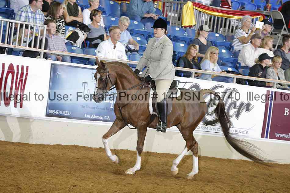 Proof 14usn_16740