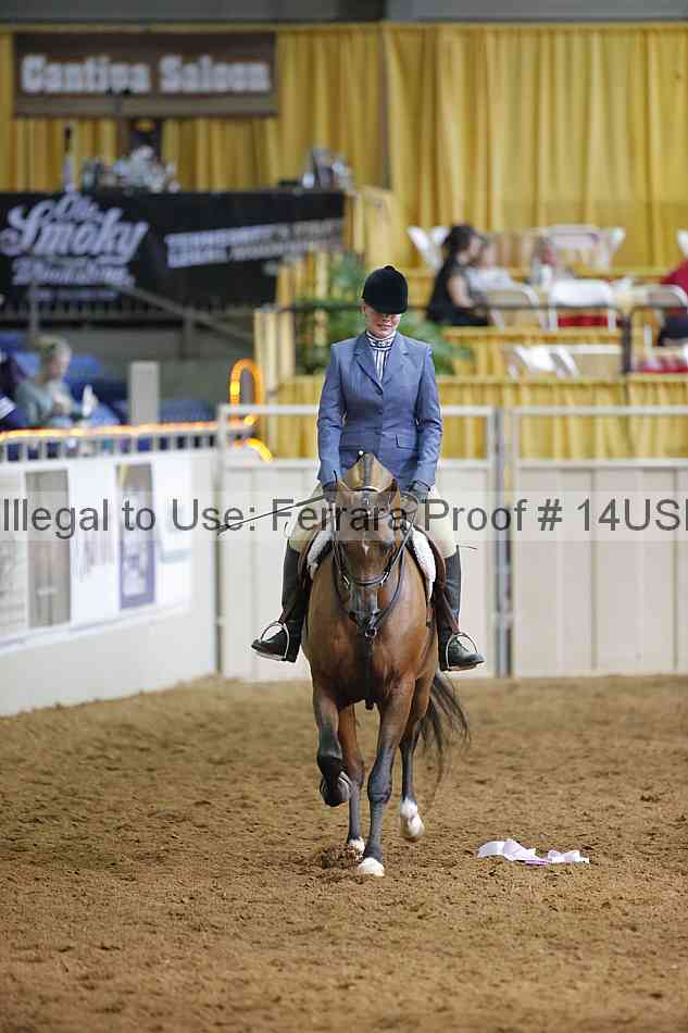 Proof 14usn_16769