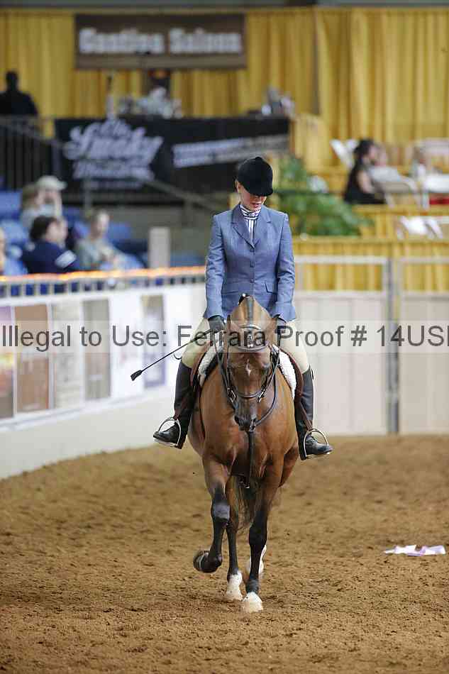 Proof 14usn_16771