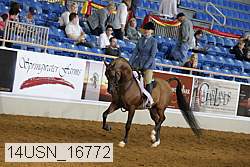 14usn_16772 proof