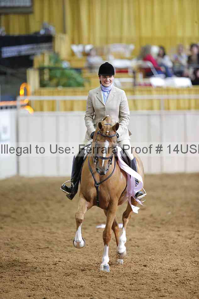 Proof 14usn_16783